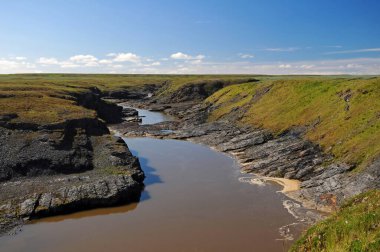 Çamurlu dağ nehri, kayalar, tundra, güneşli gün