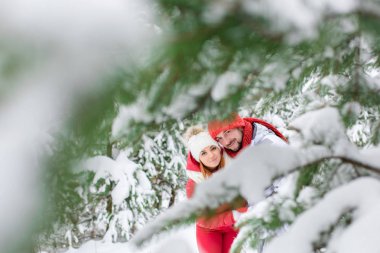 Bir kaç kar orman içinde