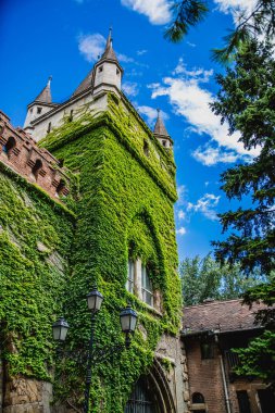 güzel Vajdahunyad Castle