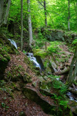 güzel Karpat Dağları