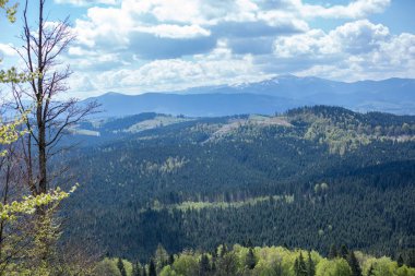 güzel Karpat Dağları