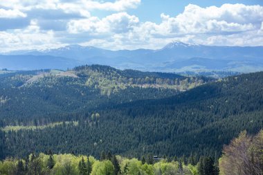 güzel Karpat Dağları