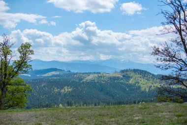 güzel Karpat Dağları