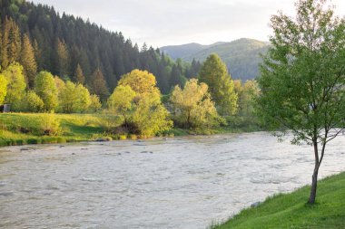 güzel Karpat Dağları