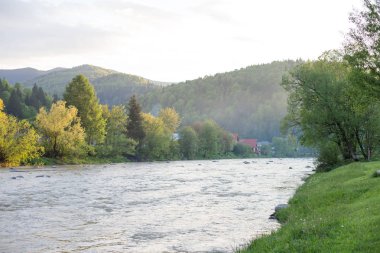 güzel Karpat Dağları