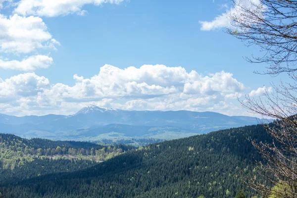 güzel Karpat Dağları