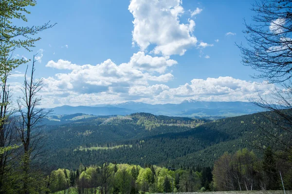 Красиві гори Карпати — стокове фото