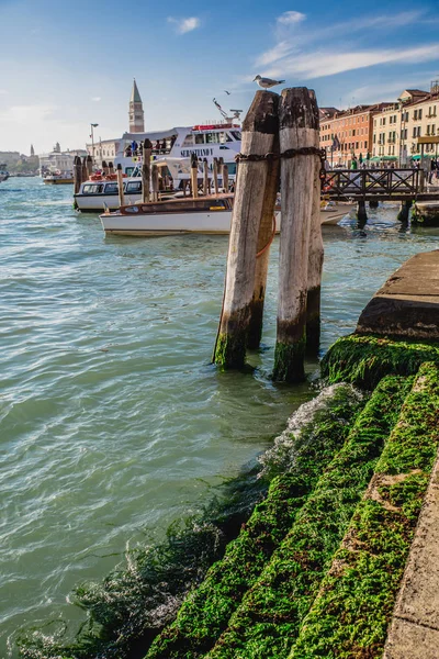 Bela arquitetura Veneza — Fotografia de Stock