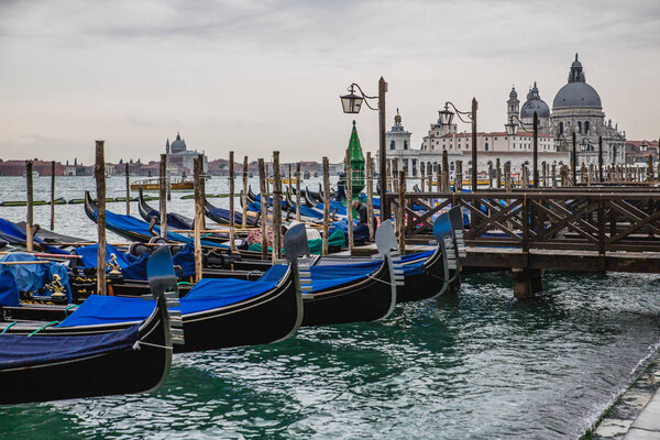 beautiful Venice gondolas 