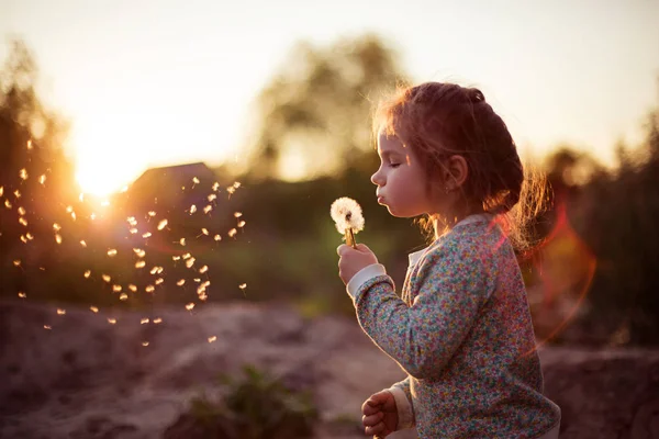 Little girl with dandelion — Stock Photo, Image