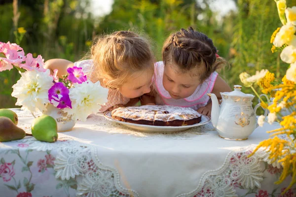 şirin kızlar piknik