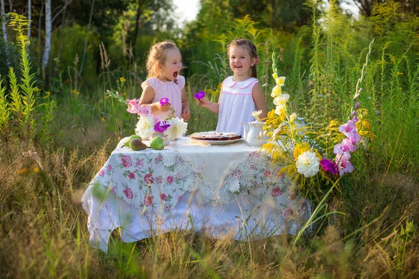 Söta flickor ha picknick — Stockfoto