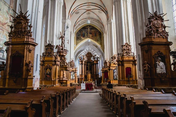 Interiören i katedralen i Vilnius — Stockfoto