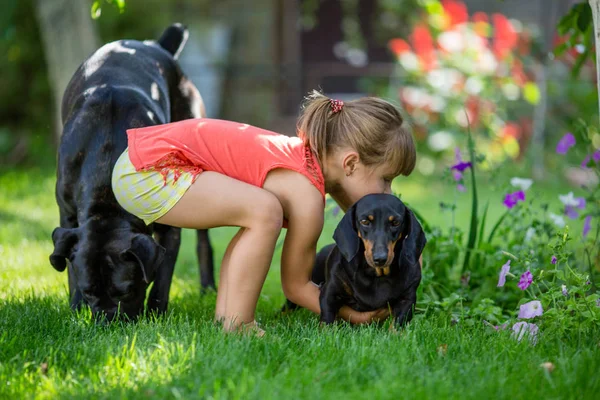 Menina brincando com cão — Fotografia de Stock