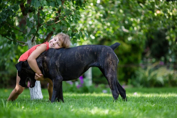 Flicka leker med hund — Stockfoto