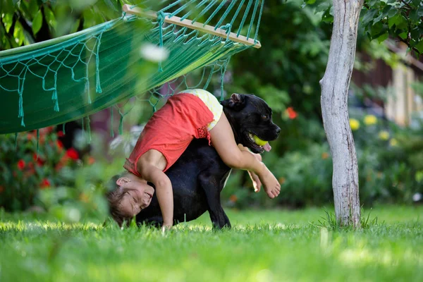  Kız köpekle oynuyor.
