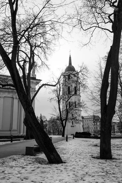 Katedral çan kulesi — Stok fotoğraf