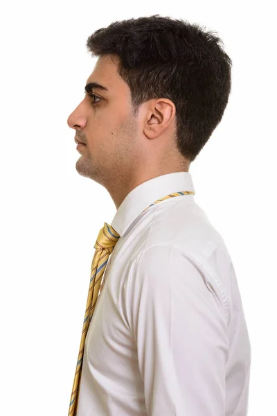 Vue du profil de jeune homme d'affaires persan — Photo