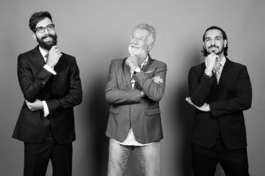 Çok ırklı sakallı iş adamlarının portresi.