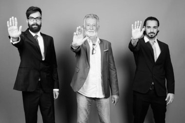 Çok ırklı sakallı iş adamlarının portresi.