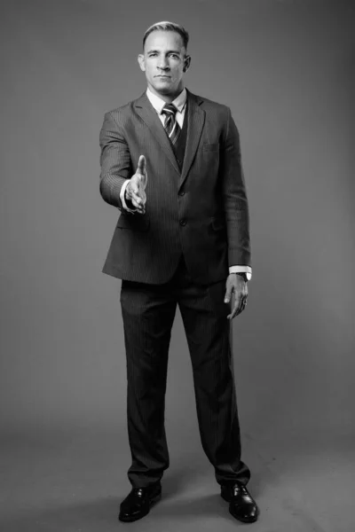스튜디오는 흑백의 배경에 대항하는 양복을 사업가의 사진을 찍었다 — 스톡 사진
