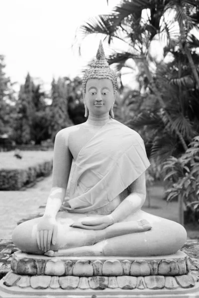 Scultura Buddha Vestita Giallo Mentre Medita Ayutthaya Thailandia Bianco Nero — Foto Stock