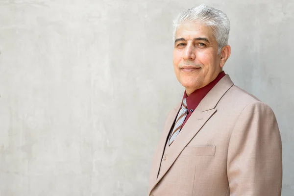 Portret Dojrzałego Przystojnego Perskiego Biznesmena Garniturze Siwymi Włosami Betonową Ścianę — Zdjęcie stockowe