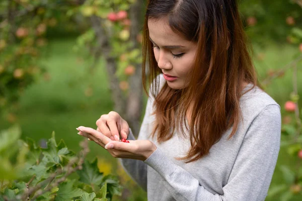 Jonge mooie Aziatische vrouw oogsten verse bessen in de natuur — Stockfoto