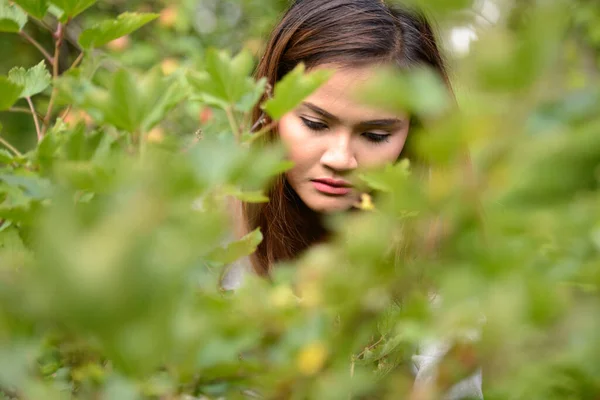 Joven hermosa mujer asiática cosechando bayas frescas en la naturaleza —  Fotos de Stock