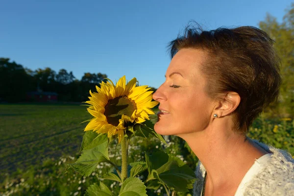 Portrait of mature beautiful Scandinavian woman in the field of blooming sunflowers outdoors