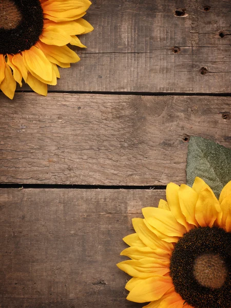 Two sunflowers on rustic wood — Stock Photo, Image