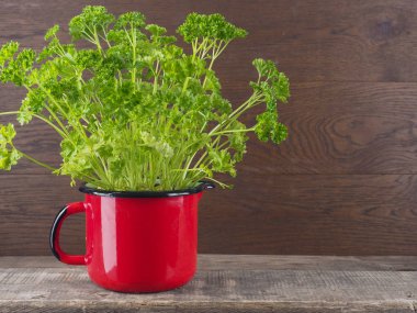 Sağlıklı malzemelerle, taze maydanoz