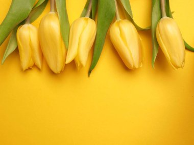 Bahar zamanı, Sarı laleler