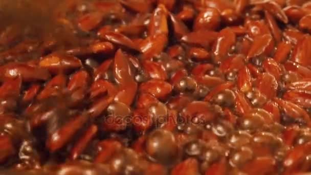 Almendras asadas en una sartén — Vídeo de stock