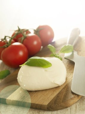Organik Mozzarella peyniri Fesleğenli