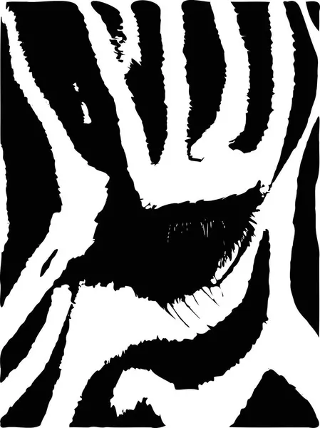 Oog van een zebra — Stockvector