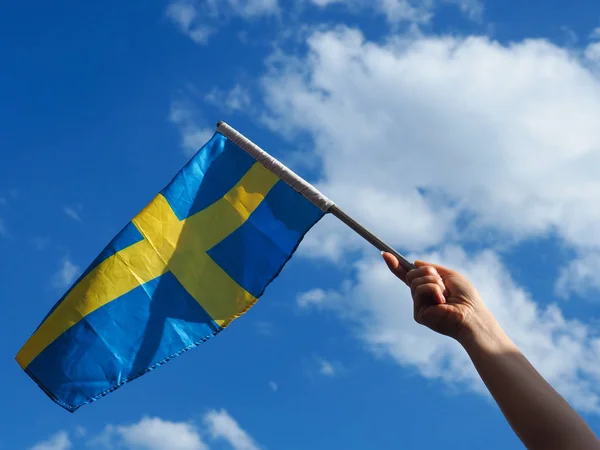 Woman with the Swedish flag — Stock Photo, Image