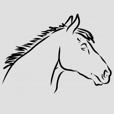 Bir Lipizzan at başkanı