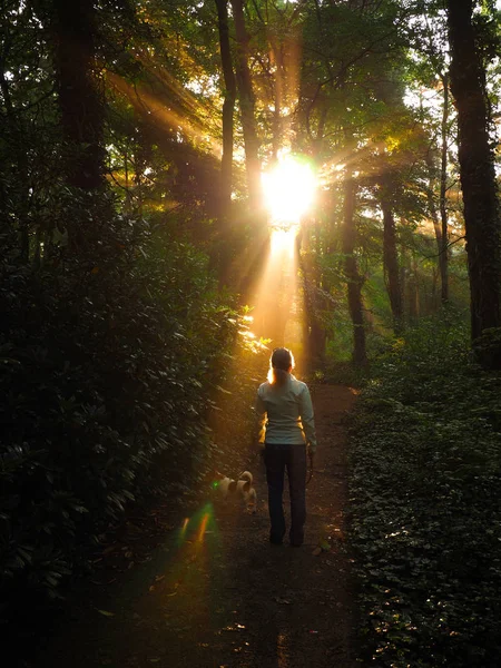 Femme avec un chien dans une forêt — Photo