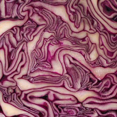 kırmızı lahana arka plan