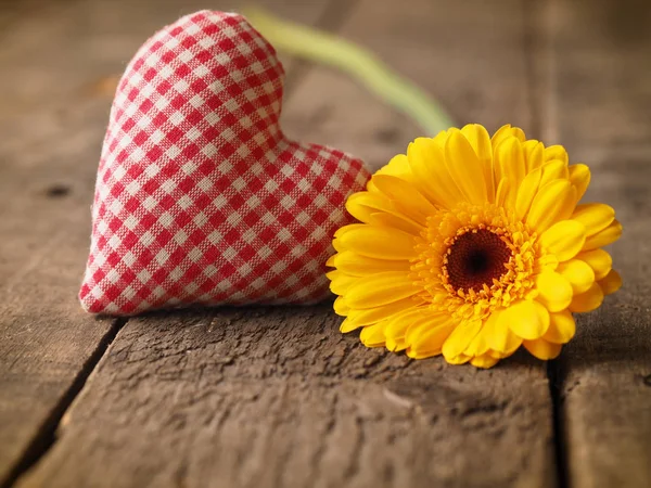 Yellow gerbera daisy z tkaniny w kratkę kształt serca — Zdjęcie stockowe