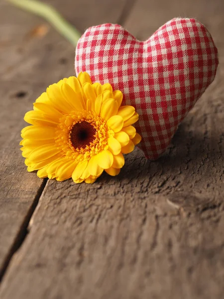 Marguerite gerbera jaune avec forme de coeur en tissu — Photo