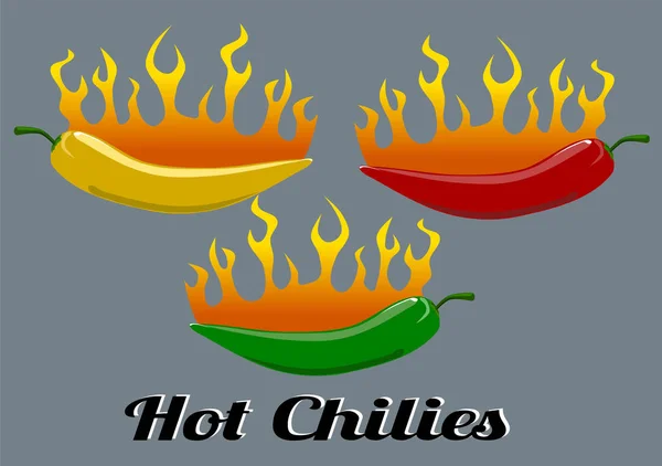 Trois piments chauds avec des flammes — Image vectorielle