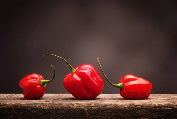 Három fűszeres habanero chili — Stock Fotó
