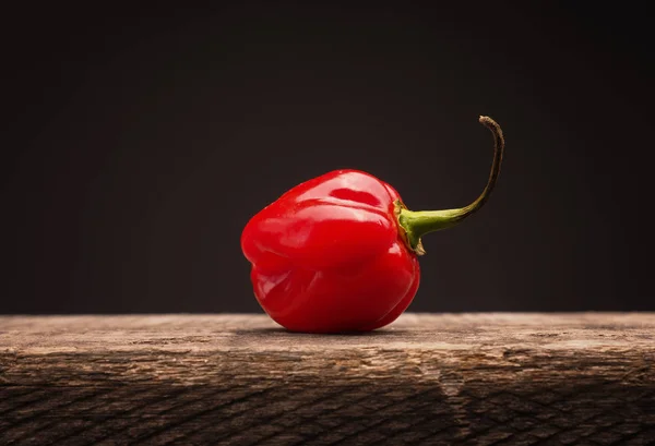 Forró és fűszeres Habanero chili — Stock Fotó