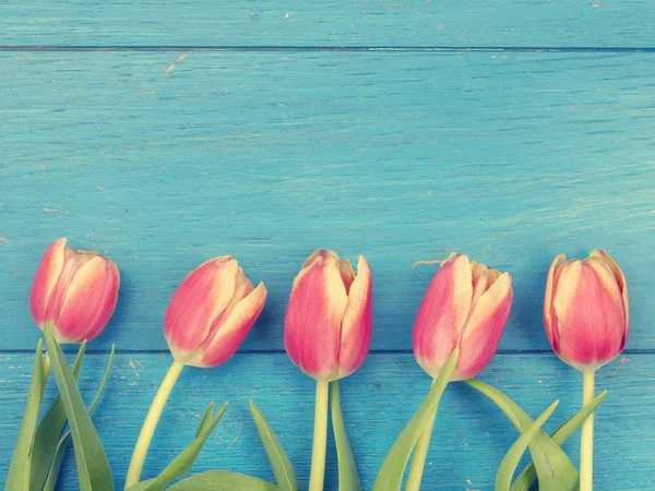 Beautiful tulips, springtime background — Stock Photo, Image