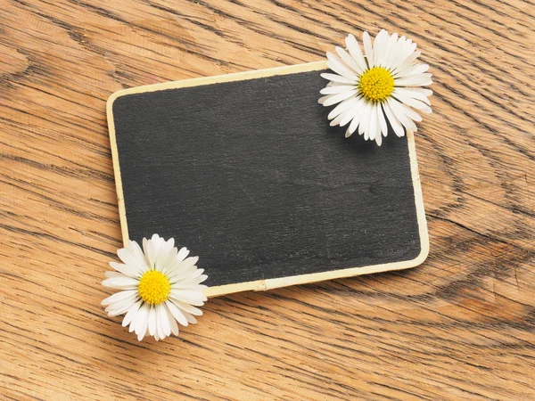 Chalkboard with beautiful daisies — Stock Photo, Image