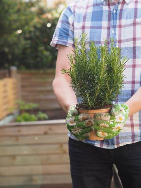 Adam onun bahçede otlar ile