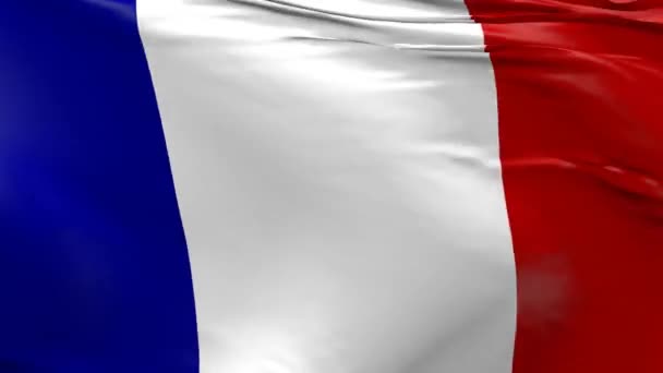 Mávání Vlajkou Francie Animace — Stock video