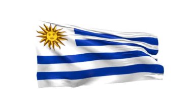 uruguay bayrağı sallayarak